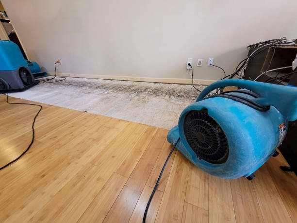 Professional Emergency Water Damage technician working in Prairie Du Rocher, IL